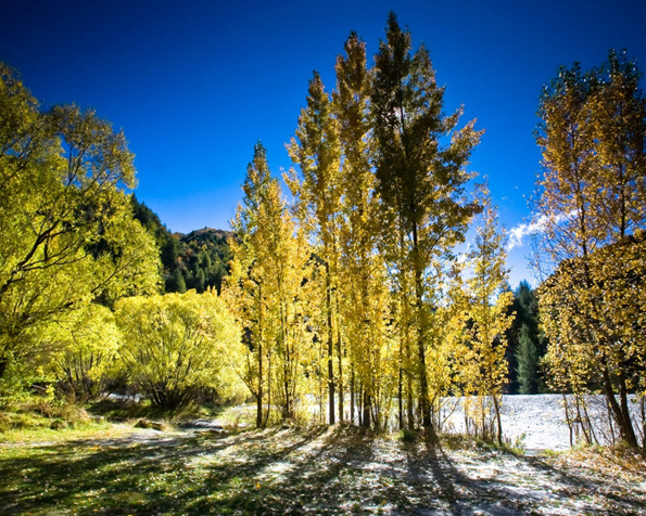 tapetynaplochu-org-nahled2-03012011172100